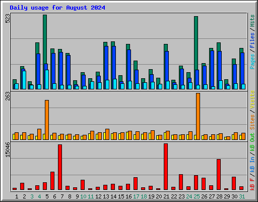 Daily usage for August 2024