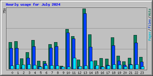 Hourly usage for July 2024