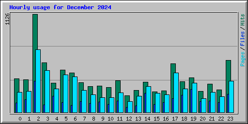 Hourly usage for December 2024