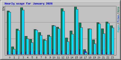 Hourly usage for January 2026