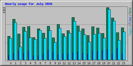 Hourly usage for July 2026