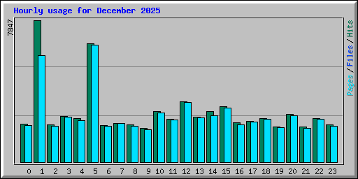 Hourly usage for December 2025