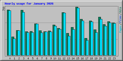 Hourly usage for January 2026