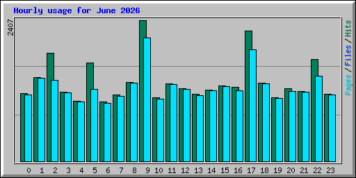 Hourly usage for June 2026